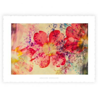 L'ECRIN et ses 10 Cartes d'Art "FLOWER POWER" – Image 3
