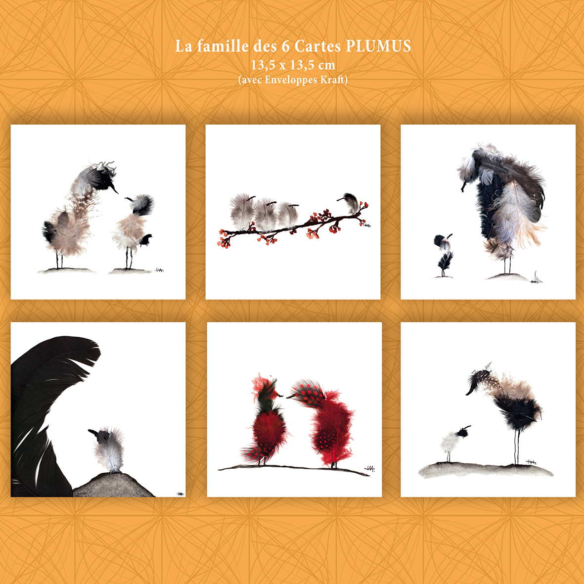 La famille des 6 Cartes PLUMUS