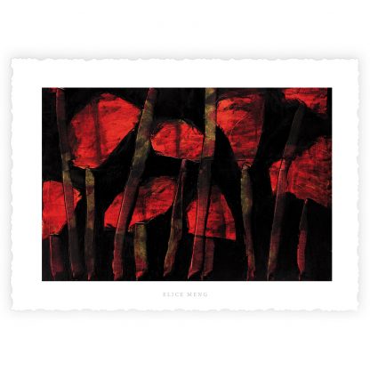 L'ECRIN et ses 10 Cartes d'Art "FLOWER POWER" – Image 5