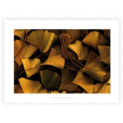 L'ECRIN et ses 10 Cartes d'Art "FLOWER POWER" – Image 11