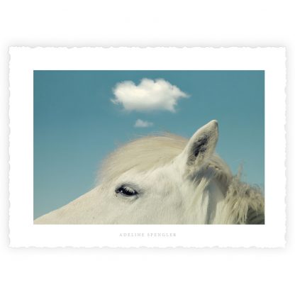 L'ECRIN et ses 10 Cartes d'Art "I BELIEVE I CAN FLY" – Image 3