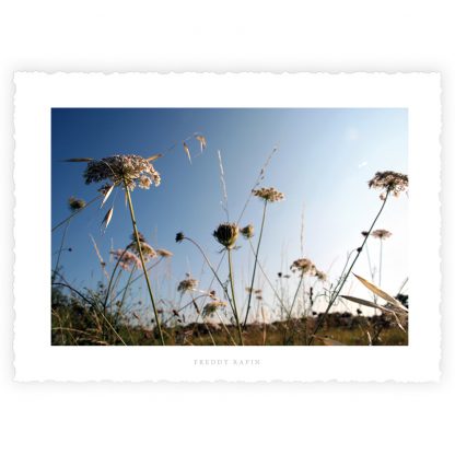 L'ECRIN et ses 10 Cartes d'Art "FLOWER POWER" – Image 4