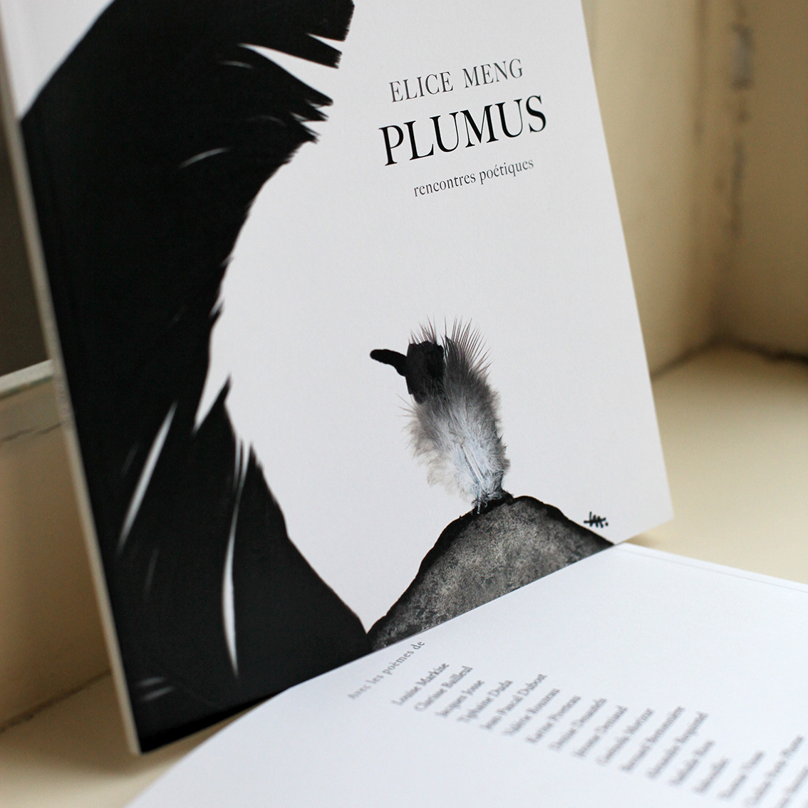 PLUMUS – Le Livre