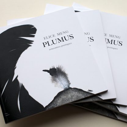 PLUMUS - Le Livre – Image 2