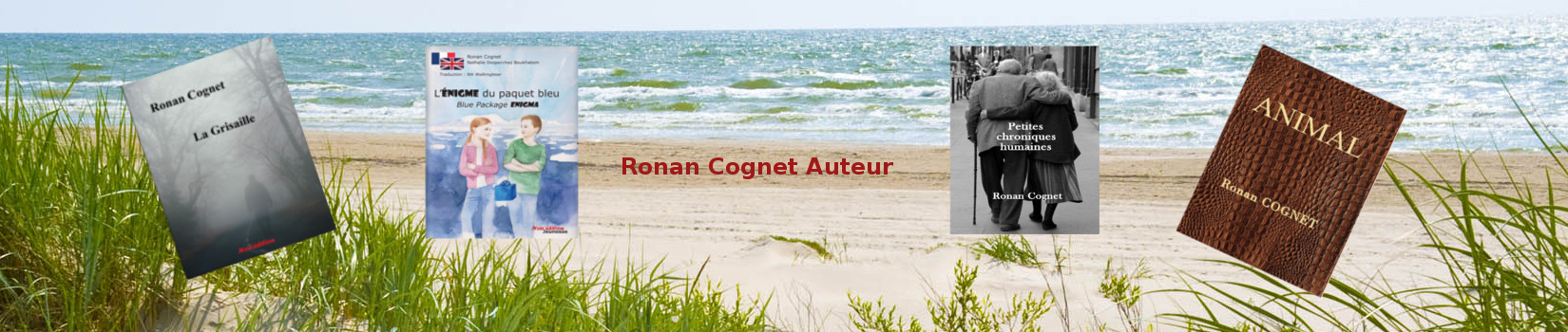 Ronan Cognet auteur