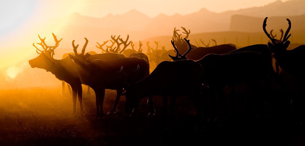 Film "Jon face aux vents" – Image 2