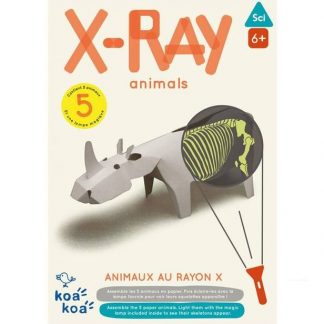 Maquettes d'animaux magiques et leurs squelettes