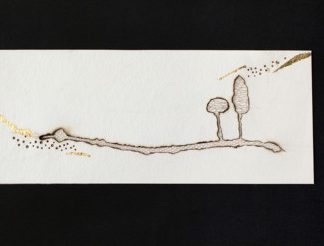 Paysage