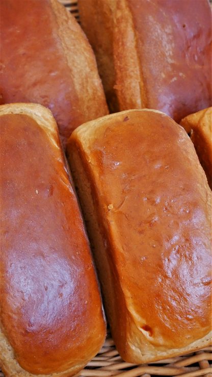 BRIOCHE DU LOUP