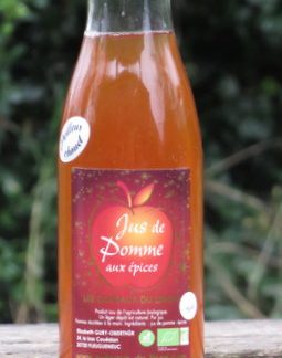 Jus de pomme aux épices