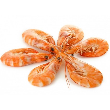 Crevettes roses 20/30 - 500 g