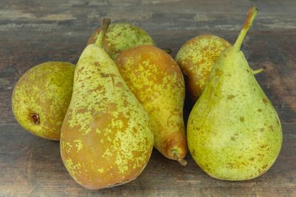 POIRE CONFERENCE X 1KG