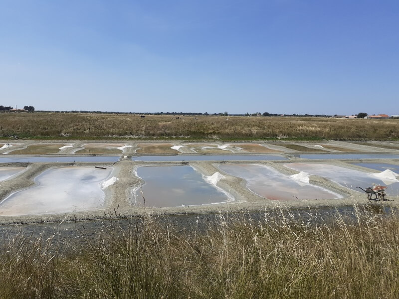 Le Sel de Céline