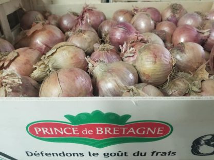 OIGNON ROSE DE ROSCOFF X 1 KG