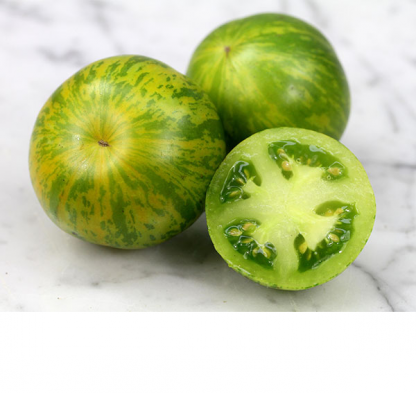 Plant de tomate Green Zebra