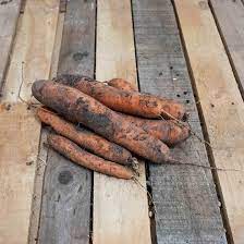 CAROTTE PRIMEUR LAVE🥕 1 kg