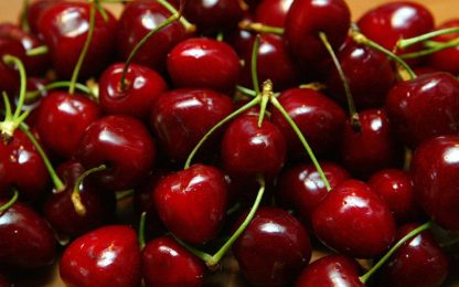 CERISE BURLAT X 500GRS