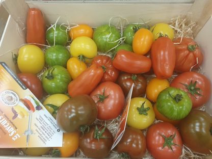 TOMATES SAVEURS D'ANTANS X 1KG