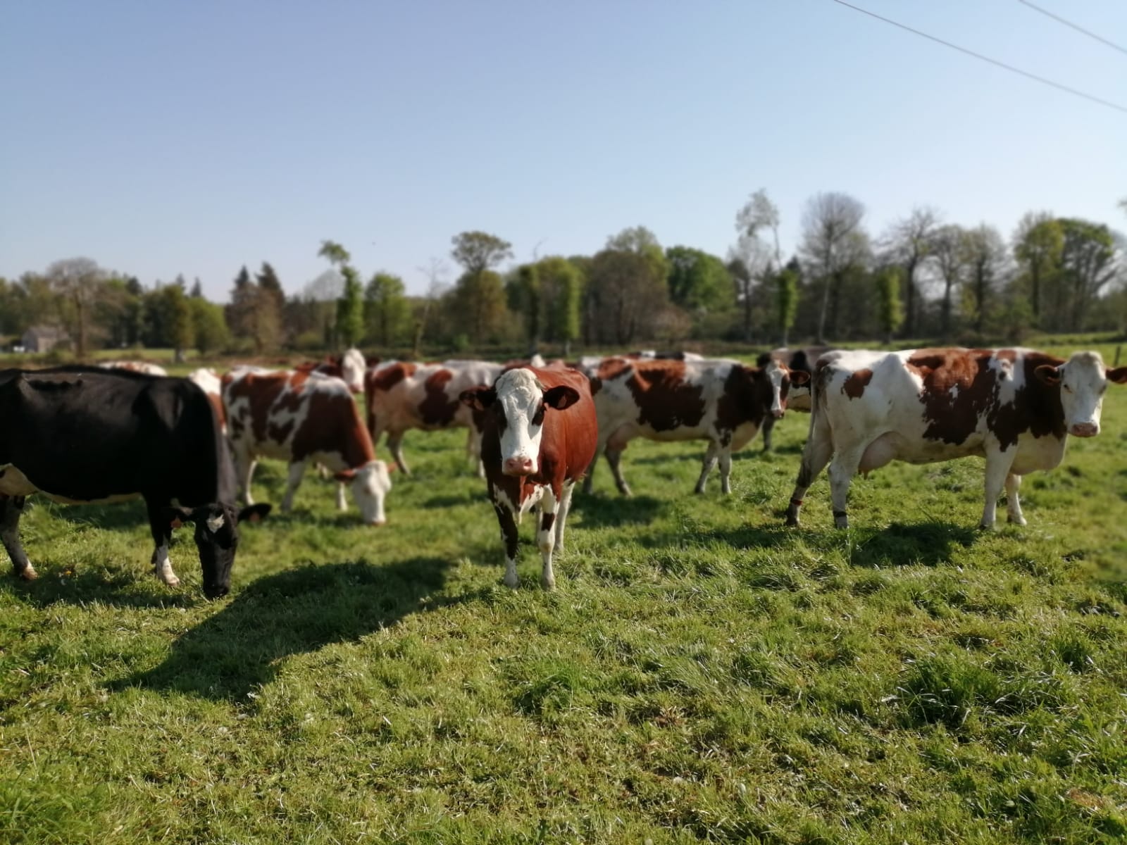 Ferme du P'tit bois