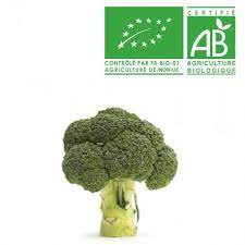 CHOU BROCOLI