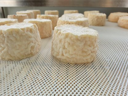 Le petit crémeux