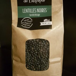 Lentilles Noires