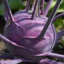 Chou rave violet AB 200g