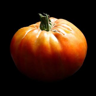 Semences de Tomate Ananas Noir