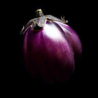 Semences d'Aubergine Monstueuse de New-York