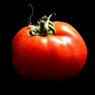 Semences de Tomate Beefsteak
