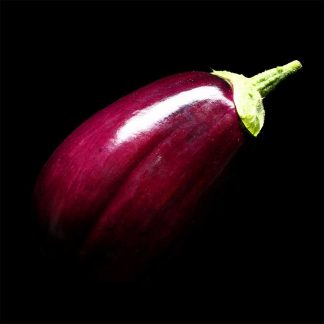 Semences d'Aubergine Black Beauty