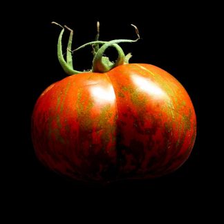 Semences de Tomate Black Zebra
