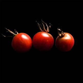 Semences de Tomate Cerise Black Cherry