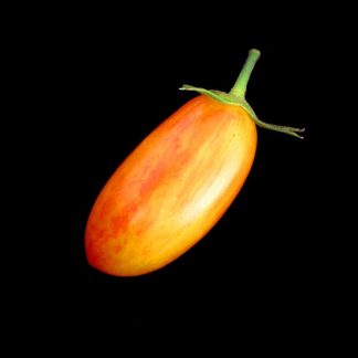 Semences de Tomate Flammée Blush