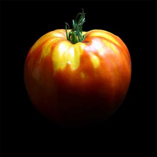 Semences de Tomate Cœur de Bœuf