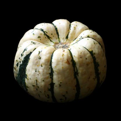 Semences de Courge Patidou Sweet Dumpling