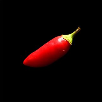 Semences de Piment Etna