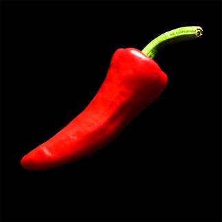 Semences de Piment Gorria