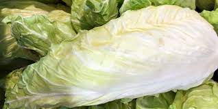 Salade Pain de sucre – BVBR – Marché ambulant