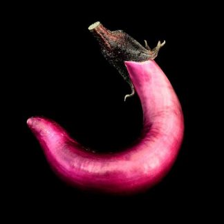 Semences d'Aubergine Japanese Pickling