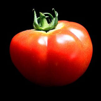 Semences de Tomate Joie de la Table
