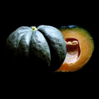 Semences de Melon Noir des Carmes