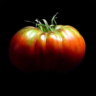 Semences de Tomate Noire de Crimée