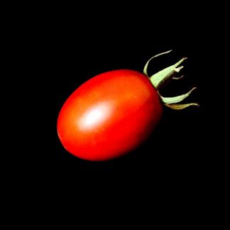 Semences de Tomate Prune Russe Noire