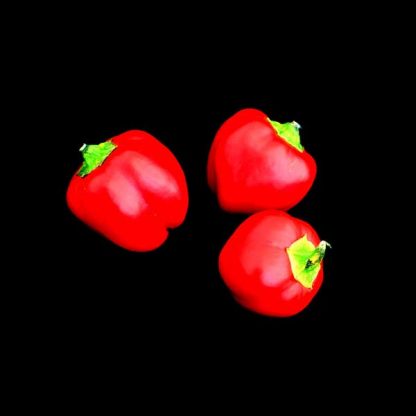 Semences de Poivron Mini Red Bell
