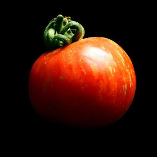 Semences de Tomate Red Zebra