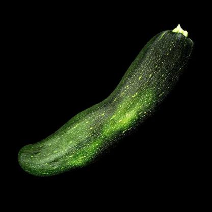 Semences de Courgette Zuboda