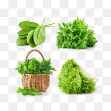 COLIS LEGUMES FEUILLES BIO "belle verdure"