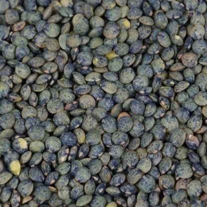 Lentille verte / 100 gr