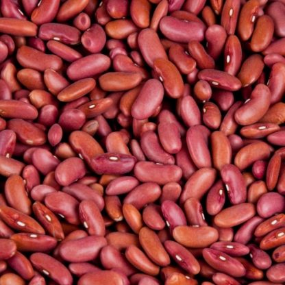 Haricot rouge / 100 gr